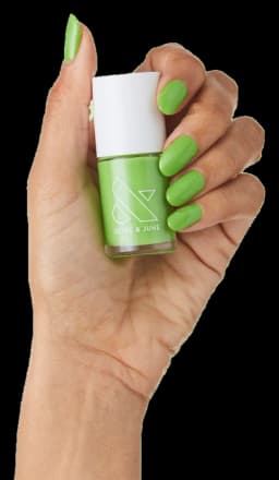 Olive & June Lime Fizz
