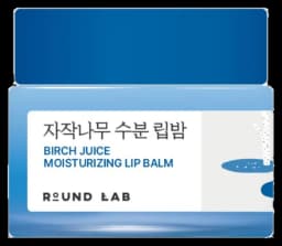 라운드랩 자작나무 수분 립밤 20g
