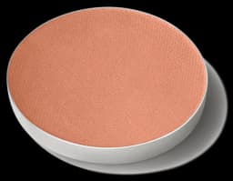 M·A·C Powder Kiss Soft Matte Eye Shadow Pro Palette - What Clout!