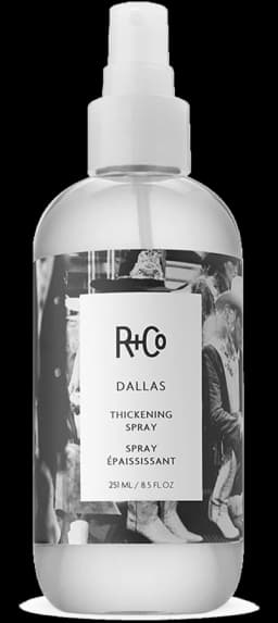 R+Co DALLAS Thickening Spray