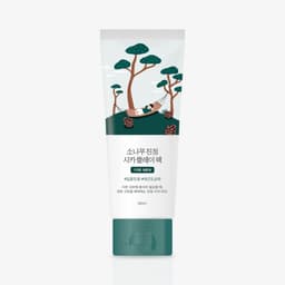 라운드랩 포 맨 소나무 진정 시카 클레이 팩 100ml