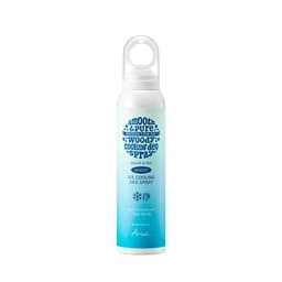 아리얼 스무스 앤 퓨어 아이스 쿨링 데오 스프레이 150ml 클라우드 우디