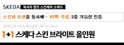 스킨 브라이트 올인원