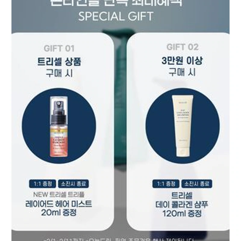 데이/나이트 콜라겐 샴푸 리필 기획