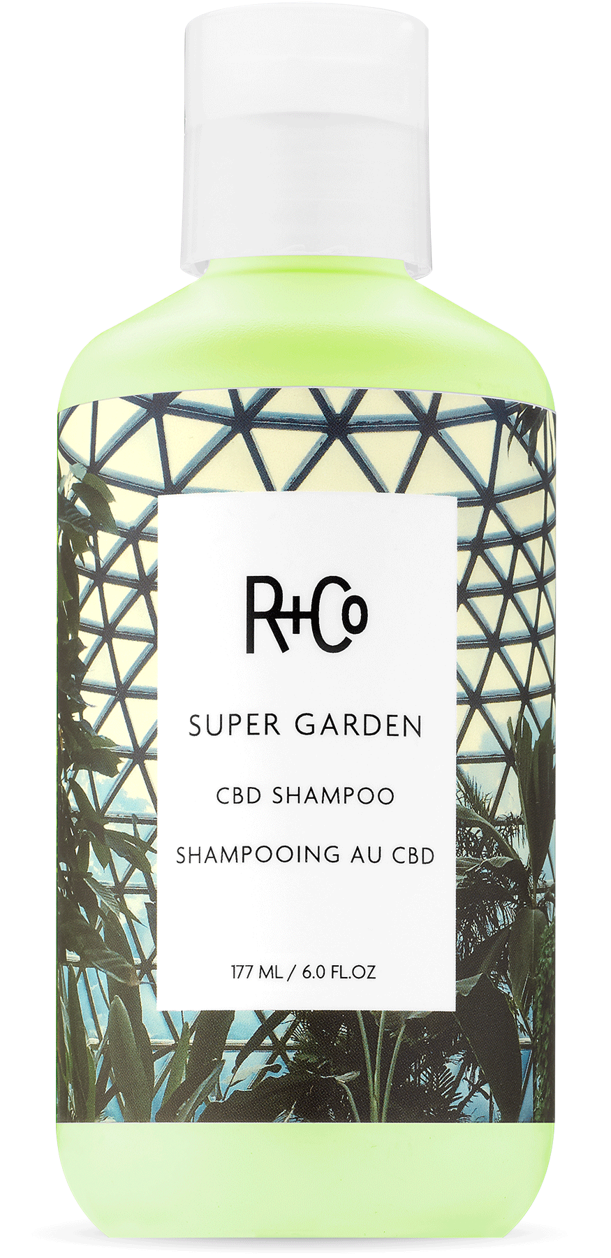 R+Co SUPER GARDEN Shampoo